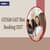 GITAM GAT Slot Booking 2026 - Check Dates, Procedure, Important Points